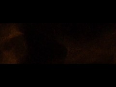 Urzędnik firmy Fadior